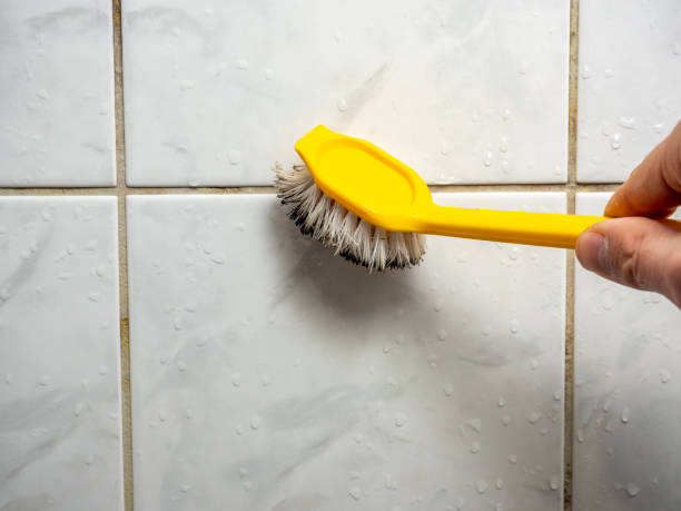 Best Fast Mold Removal  in Southmont, NC